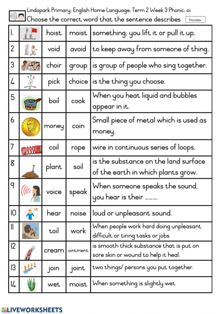 Grade English Hl Term Week Phonic Oi Worksheet Worksheet