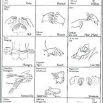 13 Best Sign Language Worksheets Images On Pinterest American Sign