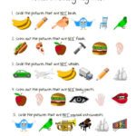 22 Best Same And Different Images On Pinterest Speech Language