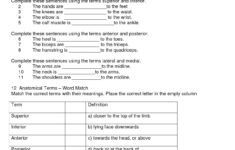 30 Anatomical Terms Worksheet Answers Education Template