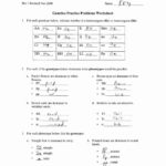 30 Genetics Problems Worksheet Answers Education Template