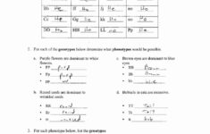 30 Genetics Problems Worksheet Answers Education Template