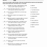 50 Genetics Problems Worksheet Answers Chessmuseum Template Library