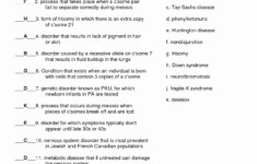 50 Genetics Problems Worksheet Answers Chessmuseum Template Library