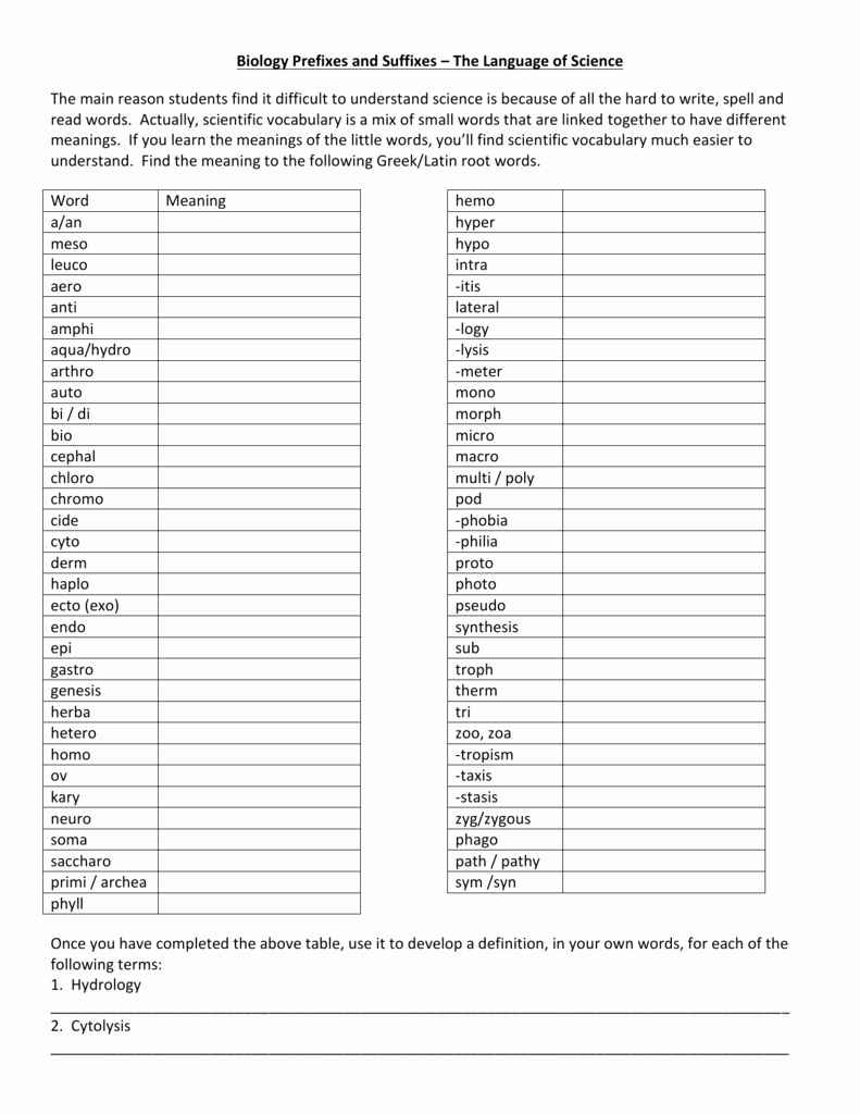 50 Language Of Science Worksheet Chessmuseum Template Library