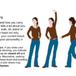 8 Best Nonverbal Communication Images On Pinterest Body Language