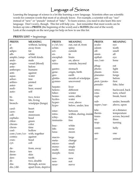 Language Of Science Worksheet Answers