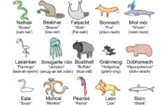 Ainmhithe Irish Annimals Irish Gaelic Irish Words Irish Phrases