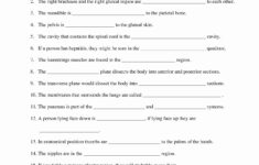 Anatomical Terms Worksheet Answers Luxury 17 Best Of Worksheets Human
