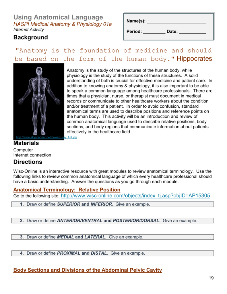 Anatomical Terms Worksheet Answers Worksheet List