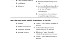 Bestseller Holt Biology Section 19 Review Answer Key
