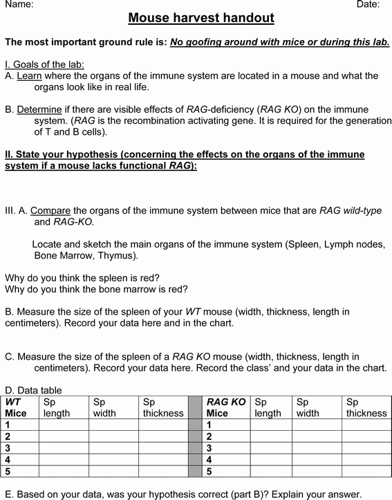 Chapter 1 Lab Investigation The Language Of Anatomy Worksheet