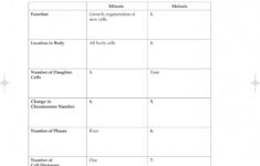 Chapter 11 Introduction To Genetics Worksheet Answers Db excel