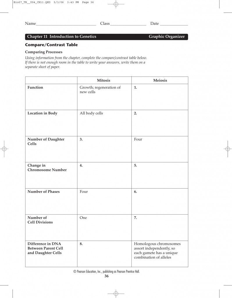 Chapter 11 Introduction To Genetics Worksheet Answers Db excel