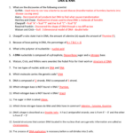 Chapter 8 From Dna To Proteins Worksheet Answer Key Waltery Learning