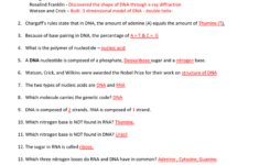 Chapter 8 From Dna To Proteins Worksheet Answer Key Waltery Learning