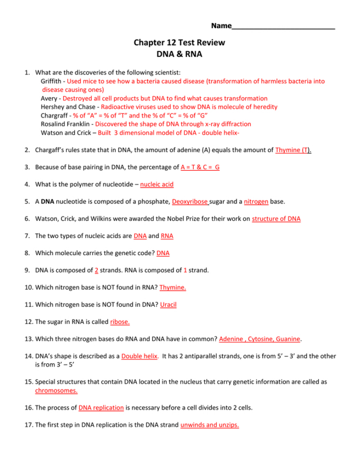 Chapter 8 Thinking And Language Review Worksheet Answers