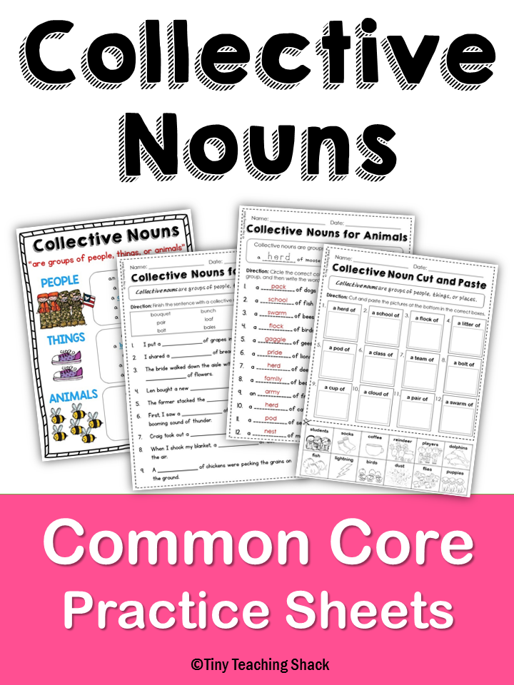 Collective Nouns Second Grade Common Core Language Practice Sheets 