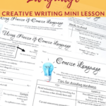 Creative Writing Workshop Precise And Concise Language Mini Lesson In