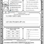 Daily Language Review Grade 4 Worksheets Curriculum Vitae Never Sleeps