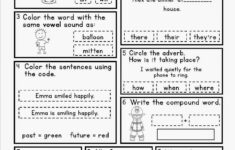 Daily Language Review Grade 4 Worksheets Curriculum Vitae Never Sleeps