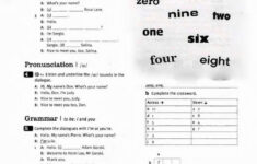 English For Adult Beginners Worksheet