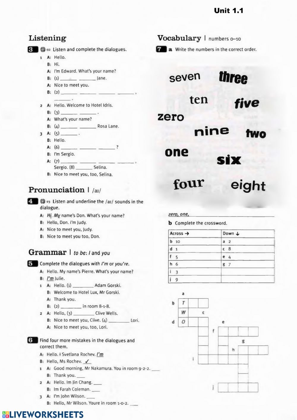 English For Adult Beginners Worksheet