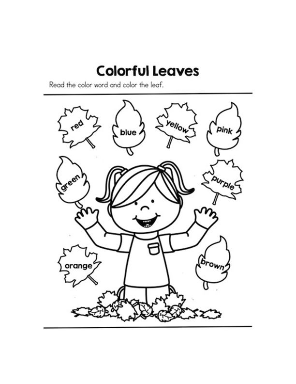Free Pre K Fall Colouring Worksheet Colour Identification 