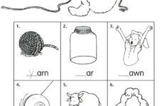 Grade R Phonics Y Worksheet