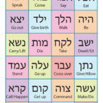 Hebrew Hebrew Language Words Hebrew Lessons Hebrew Language Learning