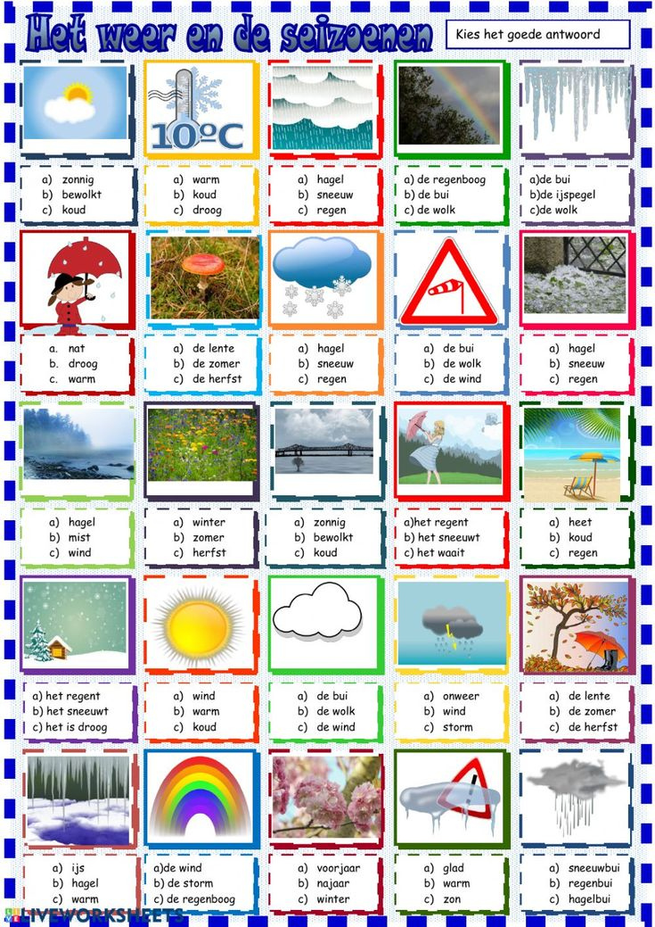 Het Weer 1 Interactive Worksheet Learn Dutch Dutch Language 