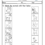 Kindergarten Nursery Worksheets For English Kids Worksheets Nursery