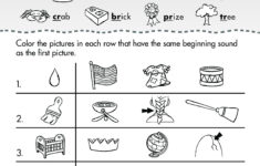 Language Arts Grade 1 Blends Digraphs Twin Sisters