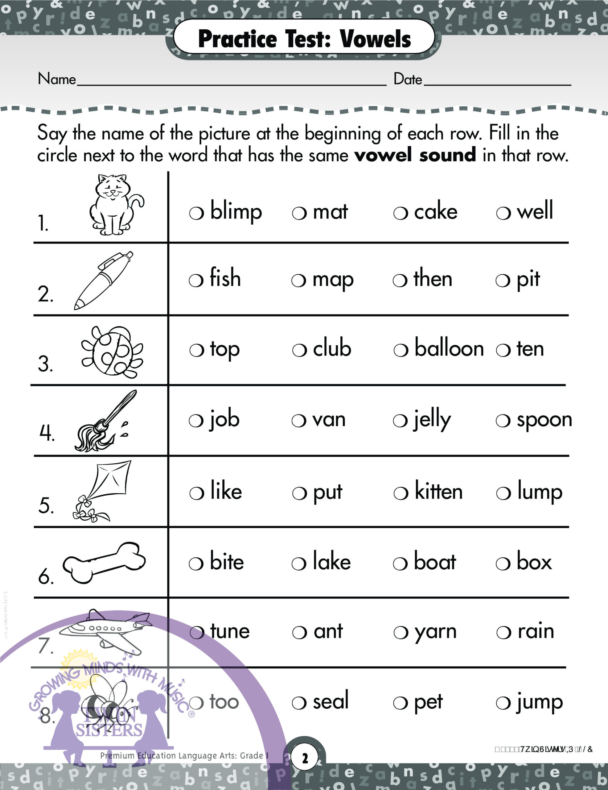 Language Arts Grade 1 Comprehensive Skills Practice Test Twin Sisters