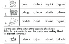 Language Arts Grade 1 Comprehensive Skills Practice Test Twin Sisters