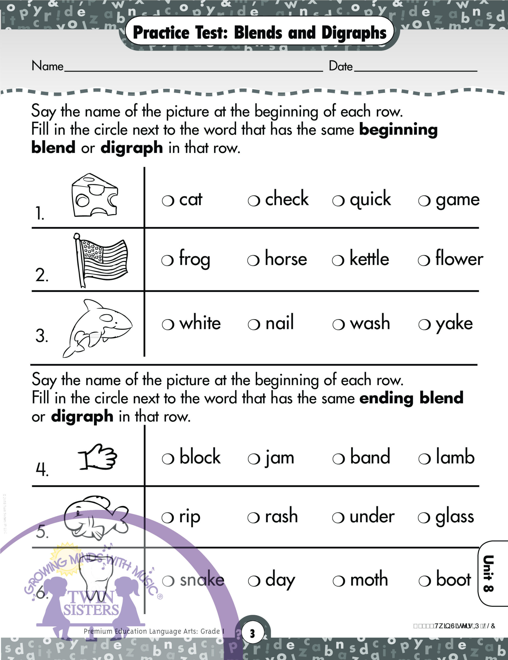 Language Arts Grade 1 Comprehensive Skills Practice Test Twin Sisters