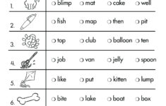 Language Arts Grade 1 Comprehensive Skills Practice Test Twin Sisters