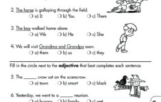Language Arts Grade 2 Comprehensive Skills Practice Test Twin Sisters
