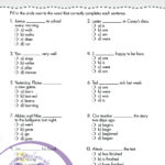 Language Arts Grade 3 Comprehensive Skills Practice Test Twin Sisters