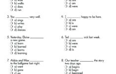 Language Arts Grade 3 Comprehensive Skills Practice Test Twin Sisters