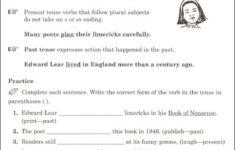 Language Arts Handbook Grade 5 Steck Vaughn 9780817238919