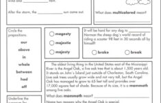 Language Arts Weekly Practice Grade 5 Carson Dellosa 9781483827933