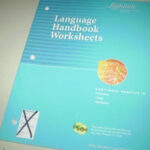 Language Handbook Worksheets Grade 6 Elements Of Literature Series EBay