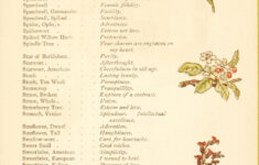 Language Of Flowers Flower Meanings Chart Language Of Flowers