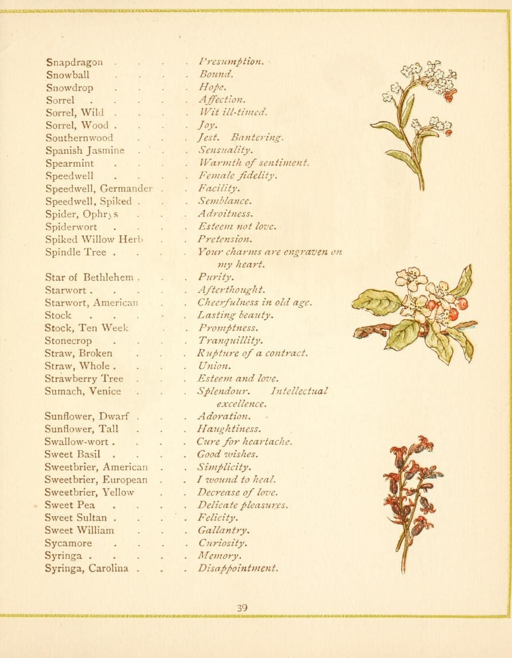 Language Of Flowers Flower Meanings Chart Language Of Flowers 