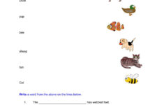 Language Skills Worksheet 1 Worksheet