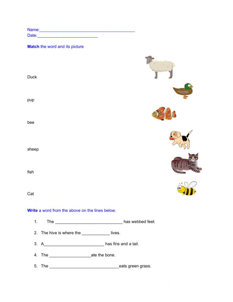 Language Skills Worksheet 1 Worksheet | Language Worksheets