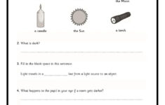 Light Test Worksheet