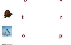 LKG English Worksheet Worksheet