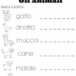 Math Worksheet Italian Grammar Vocabulary And Homework Exercises